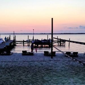 Meet your Posher, Barney